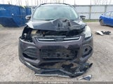 Ford Escape 1FMCU0H96DUD59674 fotografie