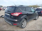 Ford Escape 1FMCU0H96DUD59674 fotografie