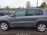 Volkswagen Tiguan Comfortline/Highline/Special Edition WVGJV7AX3GW590918 снимка