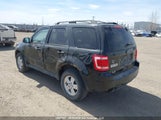 Ford Escape Xlt 1FMCU0D77CKC30759 fotografie
