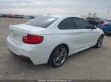 BMW 228I xDrive WBA1G9C54GV726742 снимка