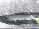 Ford Fiesta Se 3FADP4EJ4GM106101 снимка