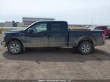 Ford F-150 Xlt 1FTFW1E56JKF31809 снимка