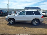 Hyundai Santa Fe KM8SB13D75U897854 снимка