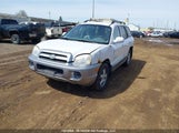 Hyundai Santa Fe KM8SB13D75U897854 снимка