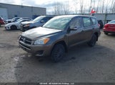 Toyota Rav4 2T3ZF4DV6BW060270 fotografie