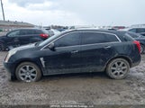 Cadillac Srx Luxury And Performance Collection 3GYFNEEYXBS652010 снимка