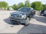 Ford F150 Supercrew 1FTFW1ET5DFD05319 fotografie