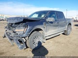 Ford F-150 Tremor 1FTFW4L8XSFA82658 photo
