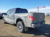 Ford F-150 Tremor 1FTFW4L8XSFA82658 photo