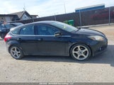 Ford Focus 1FADP3N21DL191561 снимка