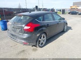 Ford Focus 1FADP3N21DL191561 снимка