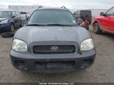 Hyundai Santa Fe KM8SB13D94U591320 снимка