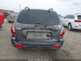 Hyundai Santa Fe KM8SB13D94U591320 снимка