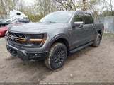 Ford F-150 Tremor 1FTFW4L80TFA44020 fotografie