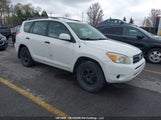 Toyota Rav4 JTMBD33V085150162 снимка