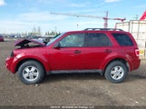 Ford Escape Xlt 1FMCU9DG9CKC72273 photo