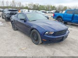 Ford Mustang V6 Premium 1ZVBP8AM5C5254683 снимка