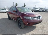 Nissan Murano S/Sl/Le JN8AZ1MW5AW120247 fotografie