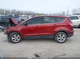 Ford Escape Se 1FMCU0GX1EUC32381 снимка