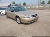 Chevrolet Malibu 1G1ND52J22M525403 fotografie