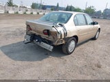 Chevrolet Malibu 1G1ND52J22M525403 fotografie