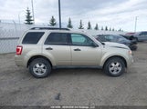 Ford Escape Xlt 1FMCU9DG9BKA10736 fotografie