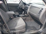 Mazda Tribute 4F2CY0C77AKM07544 fotografie