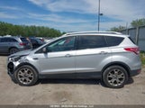 Ford Escape Titanium 1FMCU9J98EUD60499 photo
