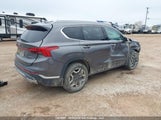 Hyundai Santa Fe Sel Premium KM8S3DA15MU009639 photo
