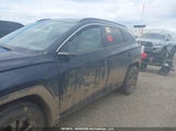 Hyundai Tucson Sel Convenience KM8JCCD13RU170077 снимка