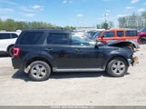 Ford Escape Xlt 1FMCU0DG8BKC15217 photo