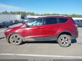 Ford Escape 1FMCU0J96EUA95285 снимка