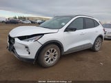 Ford Escape Active 1FMCU9GN8SUA64933 fotografie