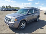 Ford Escape Xlt 1FMCU93118KA31909 снимка