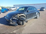 Volkswagen The Beetle 1.8 Tsi Classic/1.8 Tsi Comfortline/1.8 Tsi Dune/1.8 Tsi Trendline 3VWJ07AT1GM607907 photo