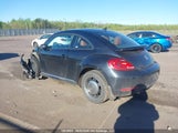 Volkswagen The Beetle 1.8 Tsi Classic/1.8 Tsi Comfortline/1.8 Tsi Dune/1.8 Tsi Trendline 3VWJ07AT1GM607907 photo