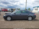 Toyota Camry Se/Le/Xle 4T1BE46K89U305791 fotografie