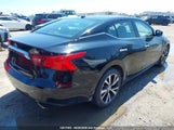 Nissan Maxima 1N4AA6AP4GC413361 fotografie