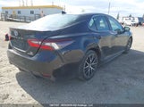 Miniaturka zdjęcia 4