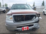 Ford F-150 Fx4/King Ranch/Lariat/Xlt 1FTPW14V68KE69909 fotografie