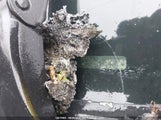 Honda Civic Lx 2HGFB2F47EH026397 снимка
