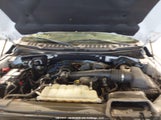Ford F-150 Xlt 1FTEW1EB5KFD47439 снимка