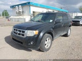 Ford Escape Xlt 1FMCU9D72AKB38508 снимка