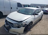 Nissan Maxima Platinum/Sl/Sr/Sv 1N4AA6AP2GC383955 photo