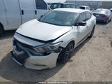 Nissan Maxima Platinum/Sl/Sr/Sv 1N4AA6AP2GC383955 photo