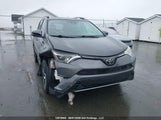 Toyota Rav4 Xle 2T3RFREV5HW689930 fotografie