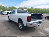 Ram  Big Horn 3C63R3DJ2TG216365 снимка