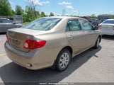 Toyota Corolla S/Le/Xle 2T1BU40EX9C070625 photo