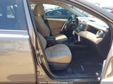 Toyota Rav4 Xle 2T3RFREV6DW023542 снимка